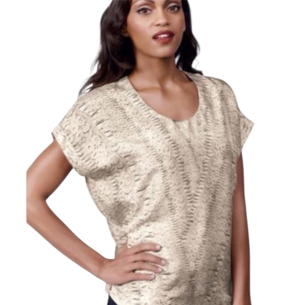 CAbi Chic grey silk Textured Boxy Dolman Short cap  Sleeve Pullover Blouse